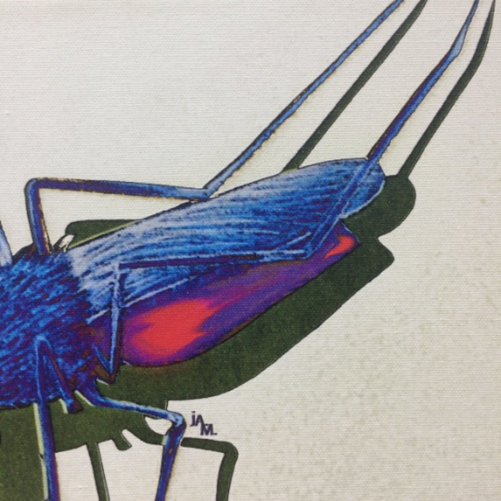 Mosquito - Original Wall Art print on 12 x 12 canvas - Picture 5 of 6